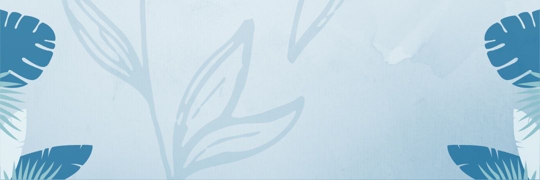 Espaço Francisco Casseano banner