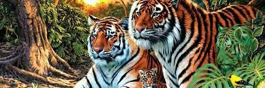 alok4094's profile banner image