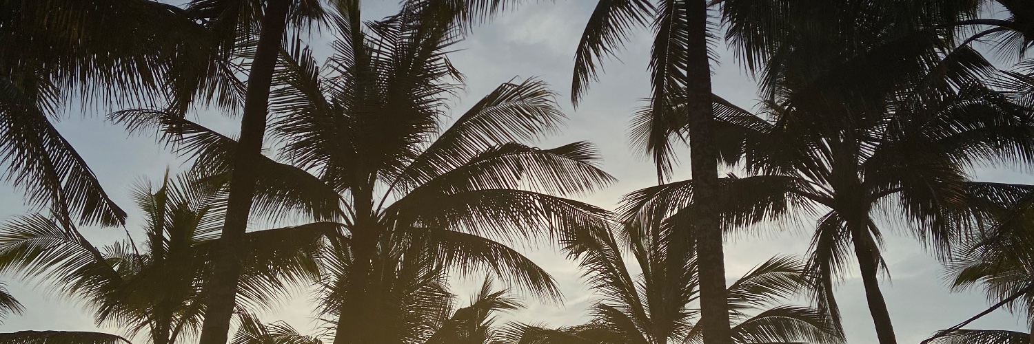 ivanaperlita's profile banner image