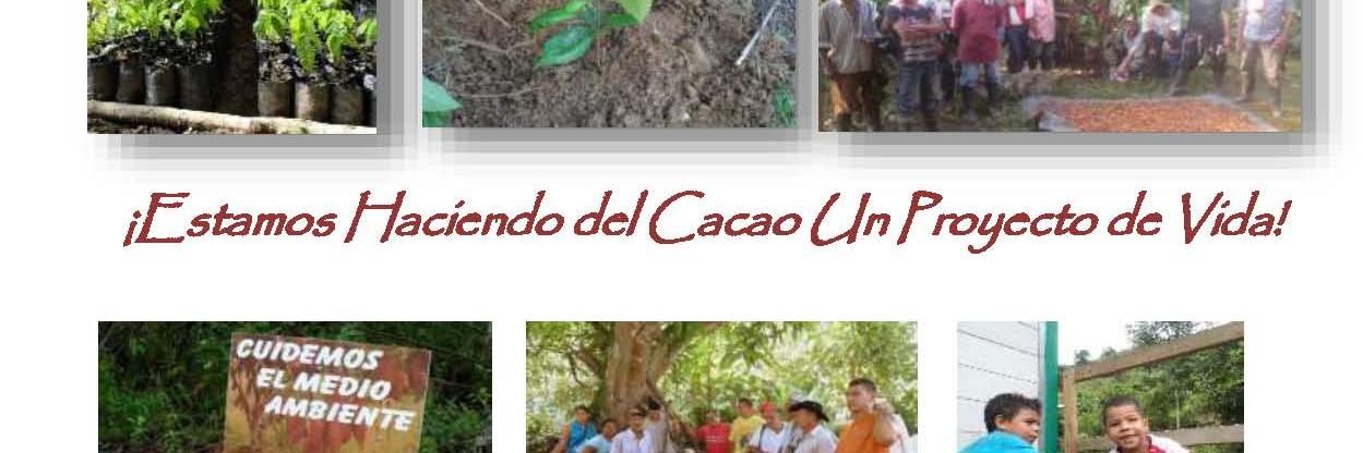 ASOCAVAL's profile banner image