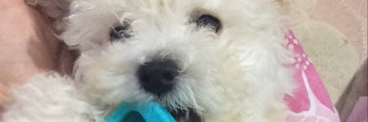 maisalinass's profile banner image