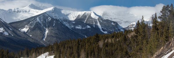 Transport_gc Profile Banner