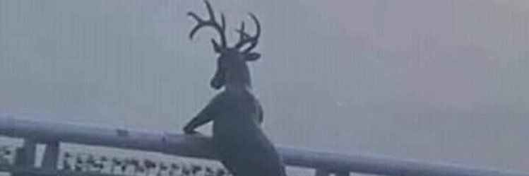 Dripped💧🦋 banner