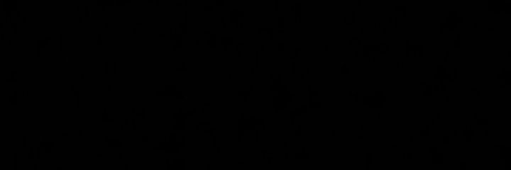 só Lis banner