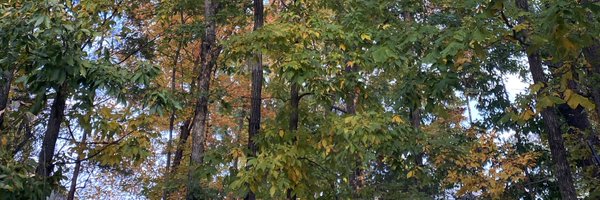 JacMacDonell Profile Banner