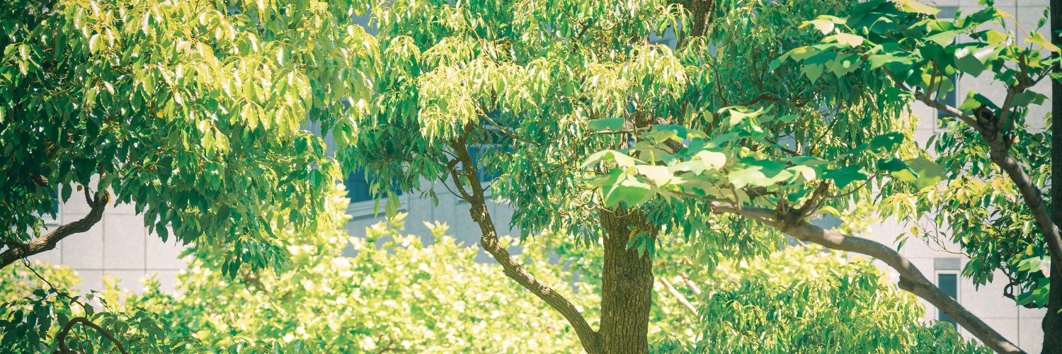 ! sprout ‧₊˚⊹ banner