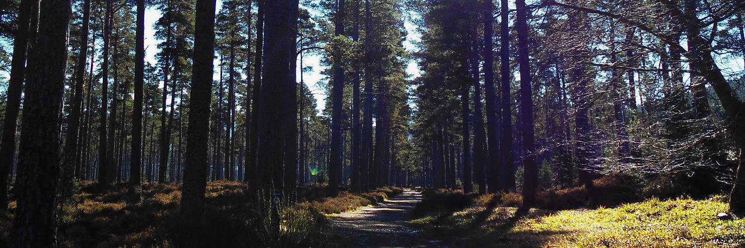 Carlymau's profile banner image