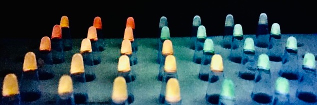 🔬 TUMI Genomics banner