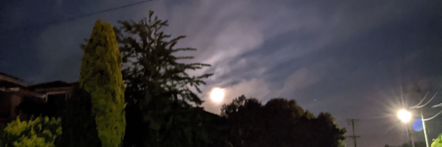 SpookyMMA's profile banner image