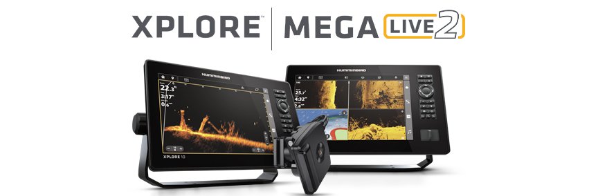 HumminbirdFish banner