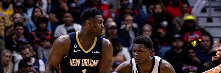 GEEKED WOLVES FAN banner