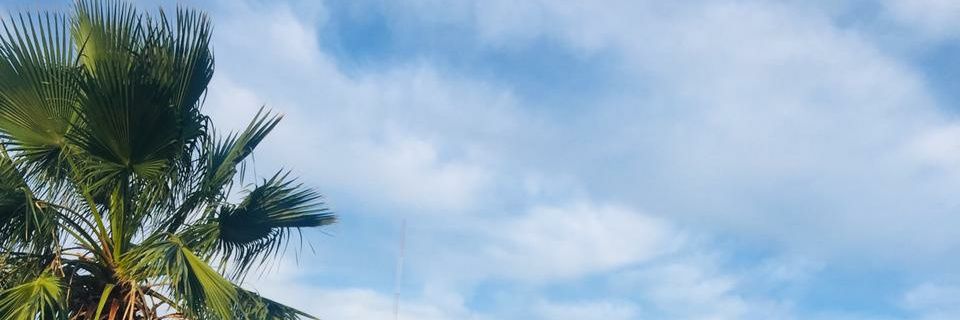 Vicky_rigazzio's profile banner image