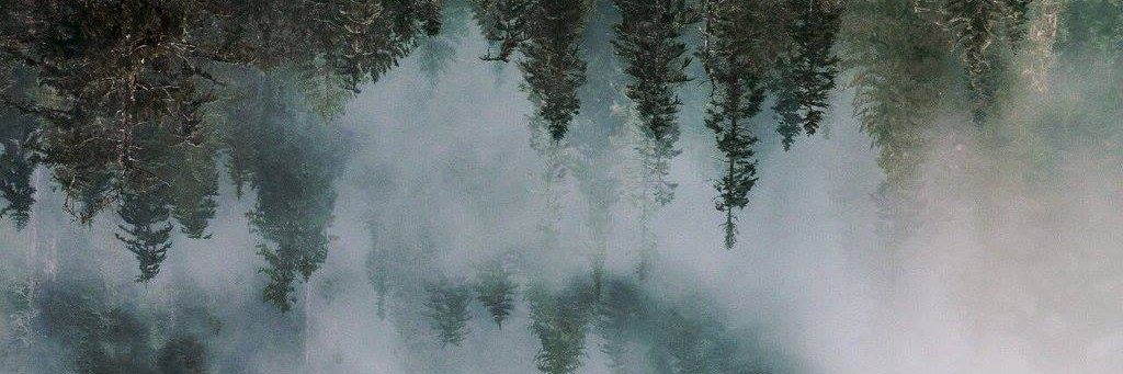 lewisplusplus's profile banner image