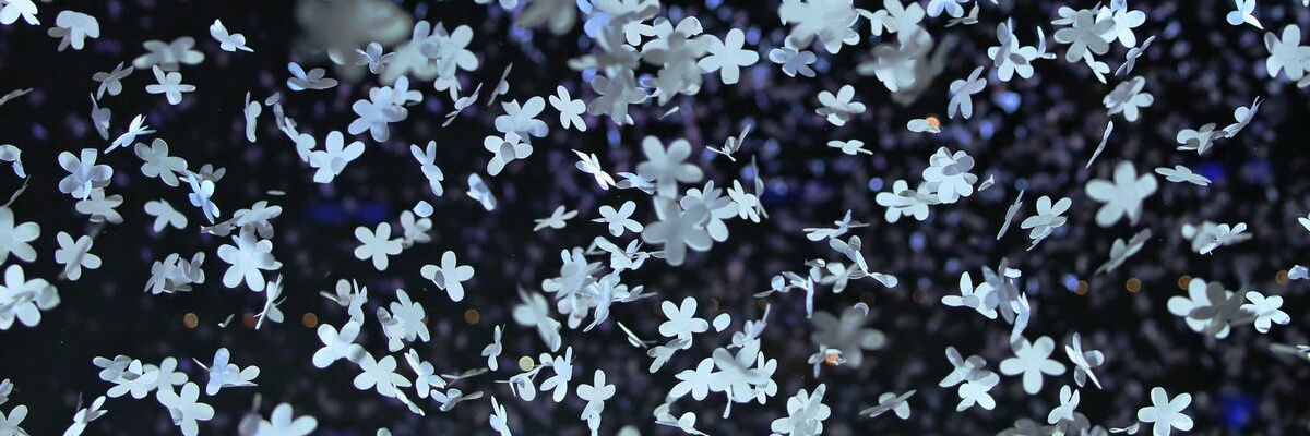 Xingmi_ele's profile banner image