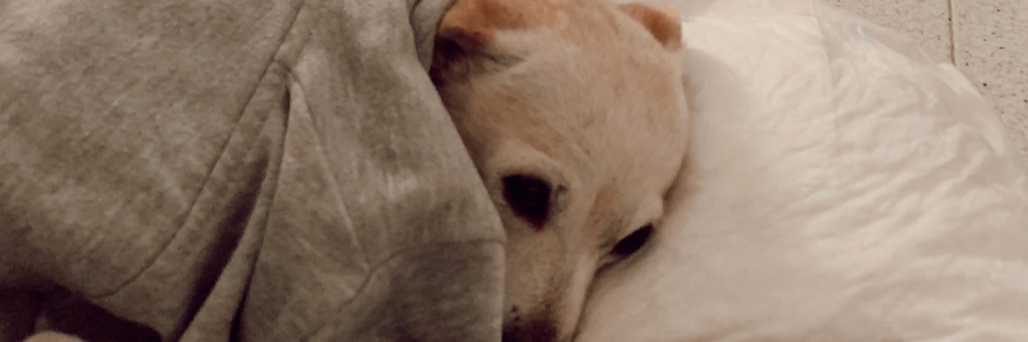 mariablanccco's profile banner image