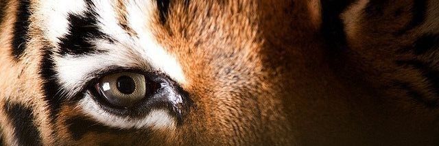 julsssv_'s profile banner image
