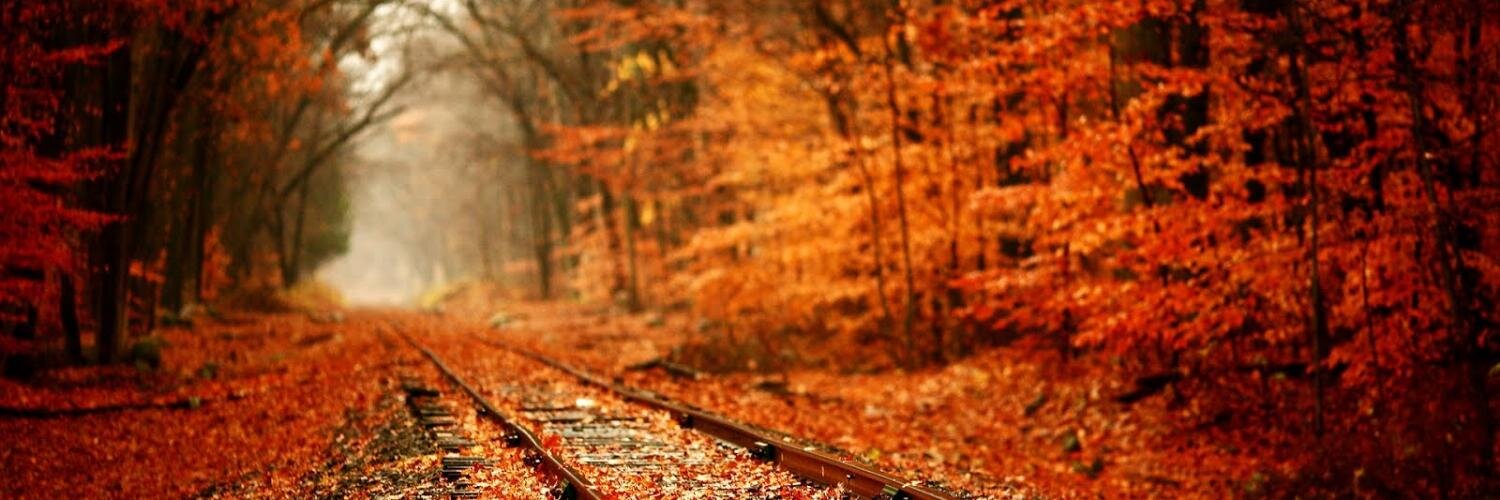 XIMENA CIFUENTES banner