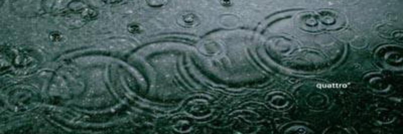 Cekca_Bee's profile banner image