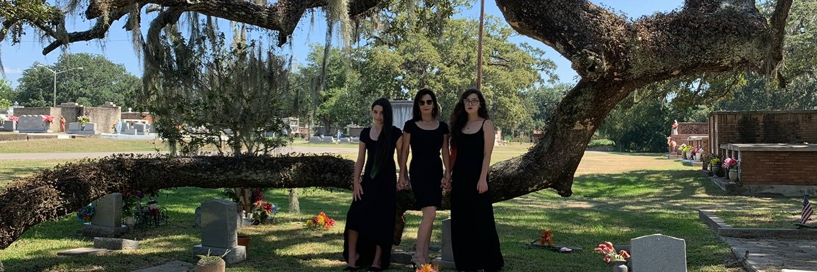 MamaBear banner