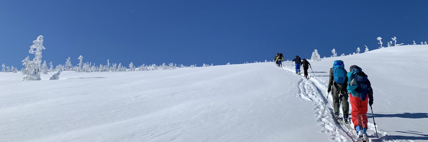 ドルフィンキック banner