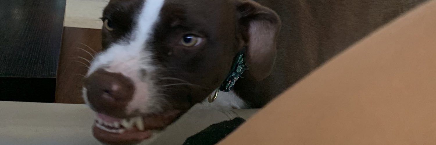 lopeezz_'s profile banner image