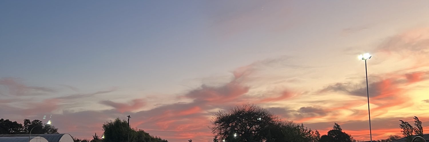 BrisaMuratori's profile banner image