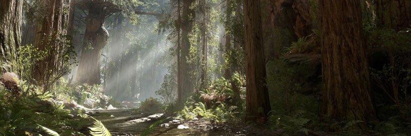 OSU_EWOK's profile banner image