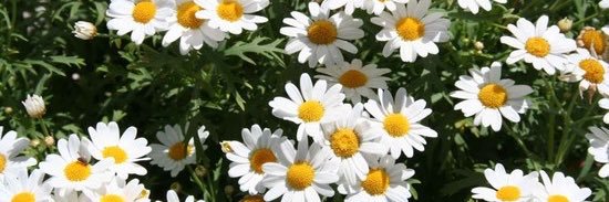 OnlyWhitneyy_'s profile banner image