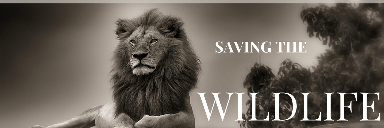 Shruti banner