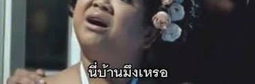 แอมยัวจ๋อยแปลว่าอิสระ banner