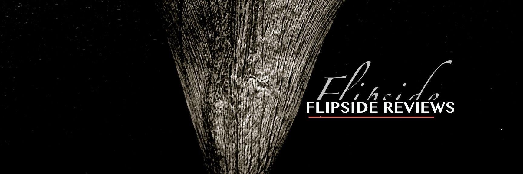 FlipsideReviewBlog banner