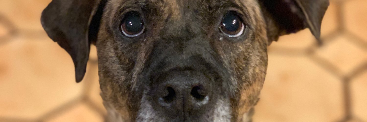 HeyItsNance's profile banner image