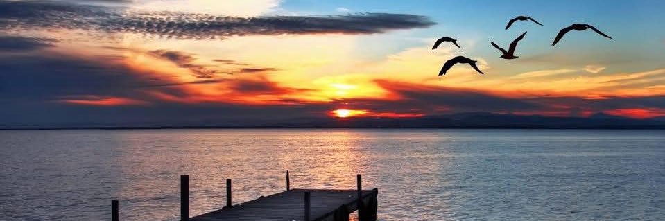 Dustin 〽️ banner