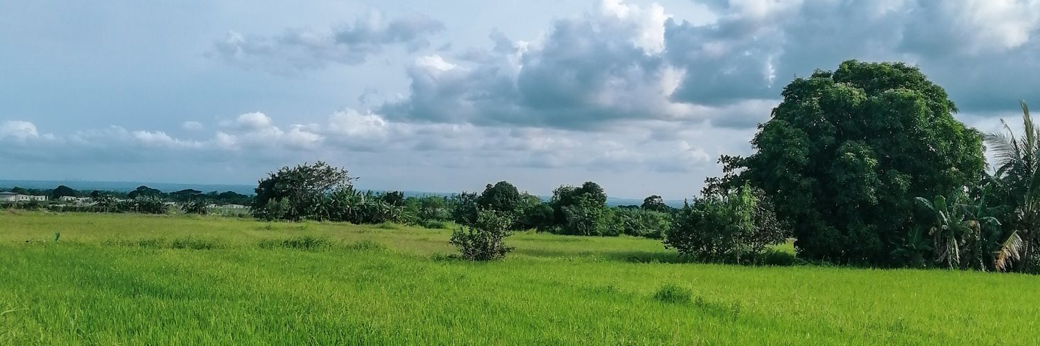 heyitsroyce's profile banner image