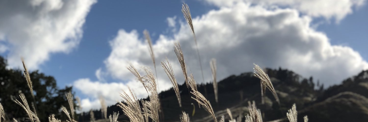 ce12345678901's profile banner image