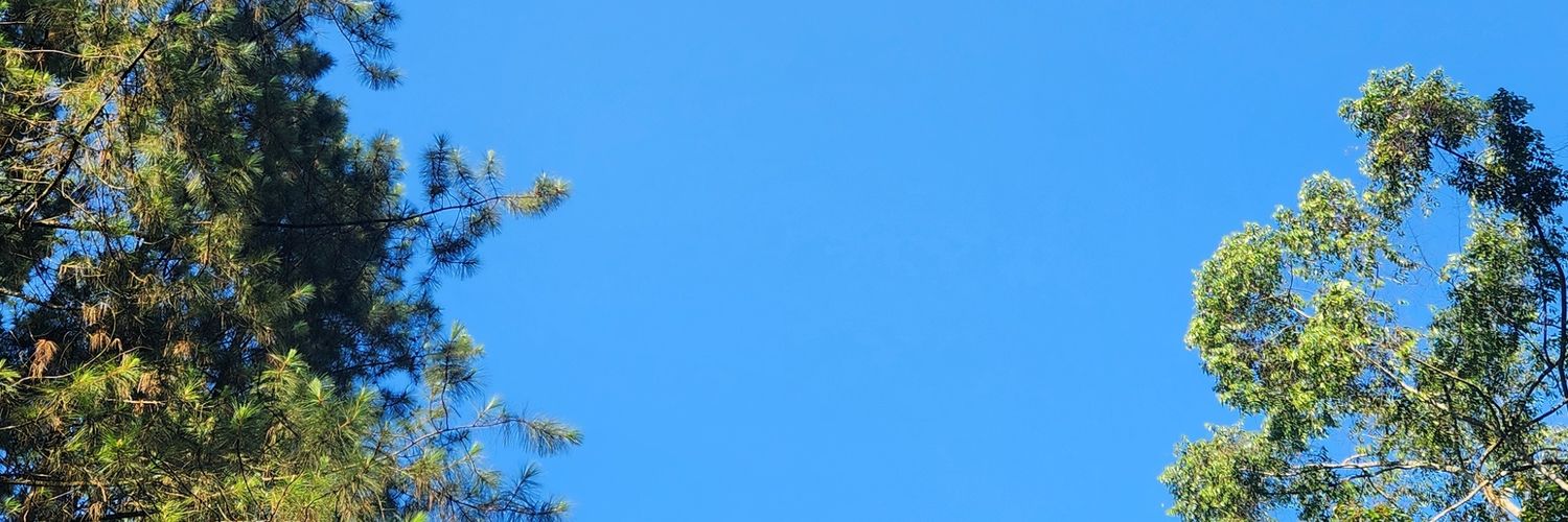 Cholesterolcity's profile banner image