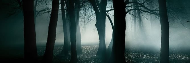 Cuerv0Gris's profile banner image