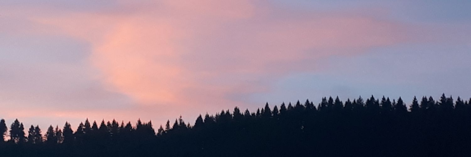 Ronan Bernard 🇫🇷🇪🇺🇩🇪 banner