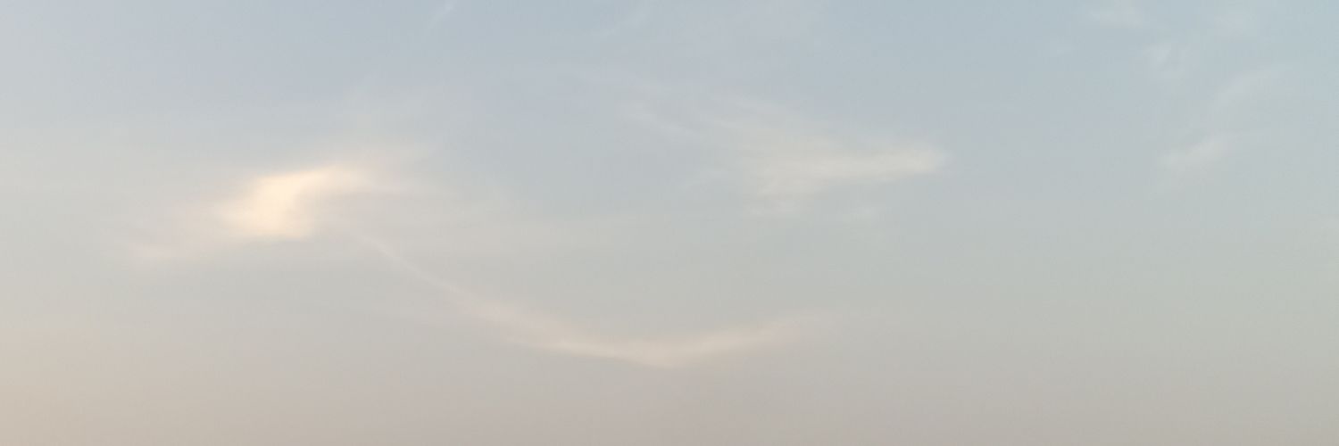 ilysptr_'s profile banner image