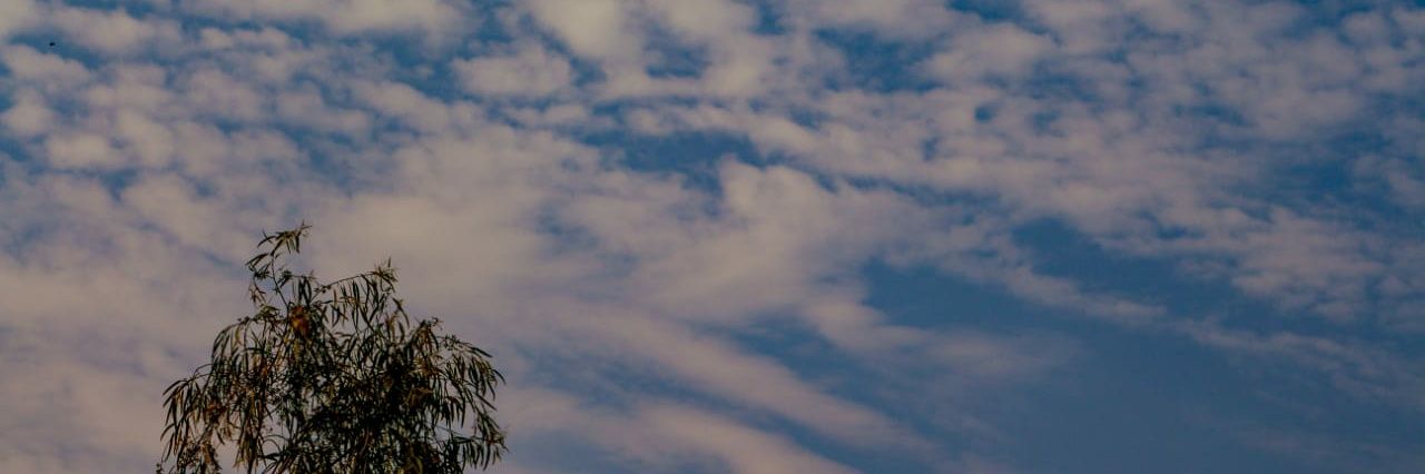 ScholarMaham149's profile banner image