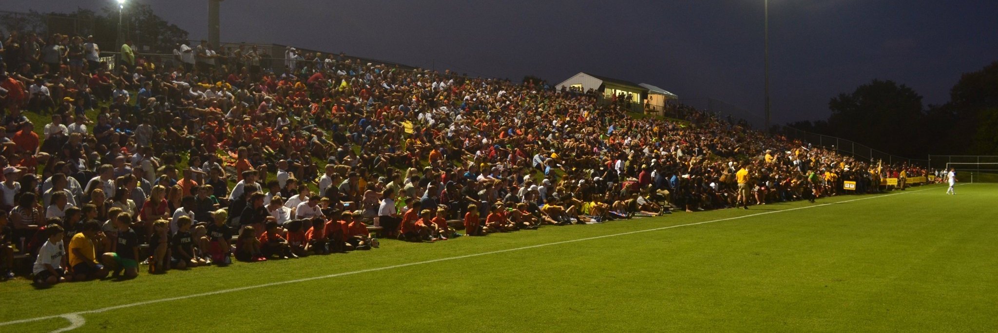 Anthony Adams banner
