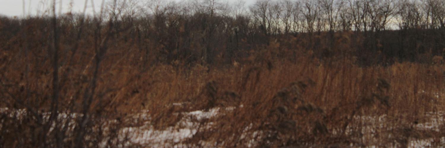 Cavern666's profile banner image