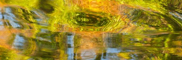 _MMaritima Profile Banner