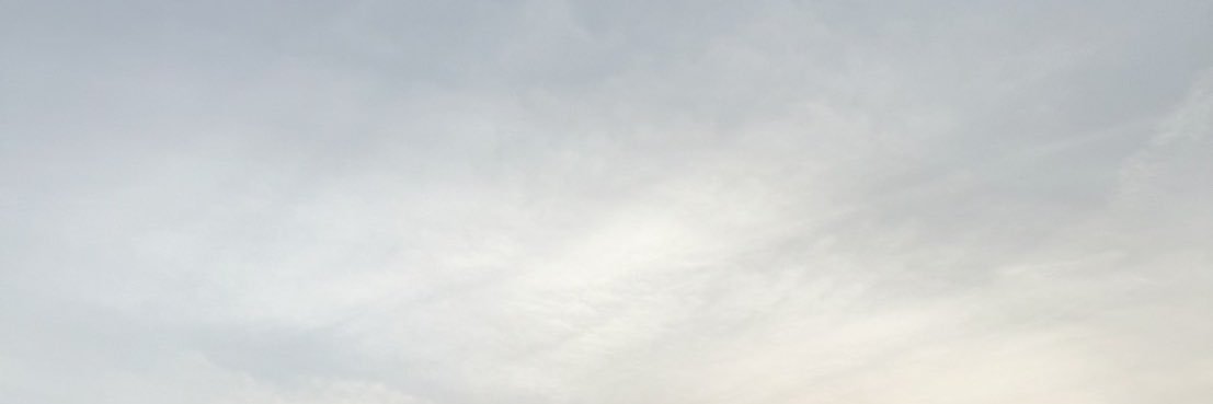 Ly banner