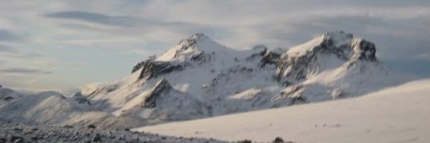 Jim de’Griz banner