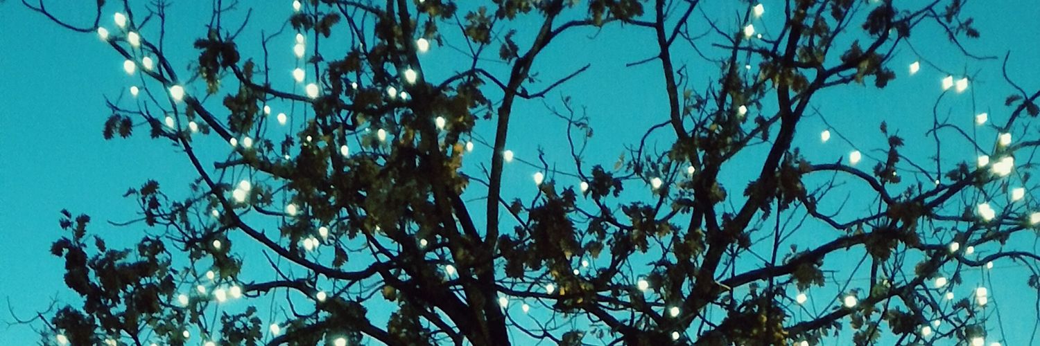 Nico8757's profile banner image
