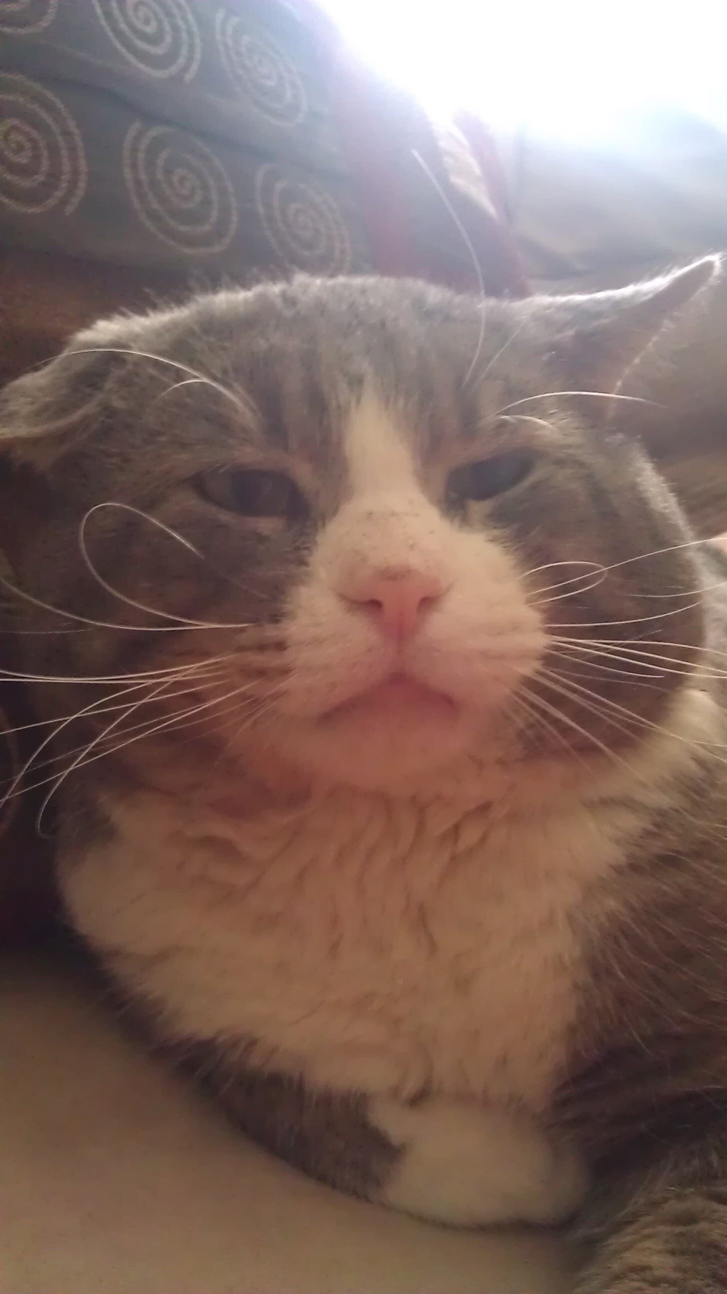 Gabriel Mercado banner