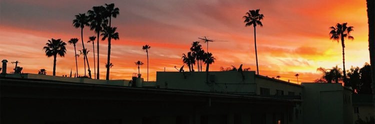 ricci_lea's profile banner image