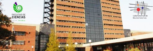 LabNeuroFcien's banner