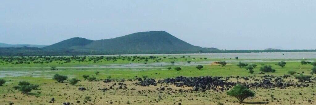 N_A_Al_raboo's profile banner image